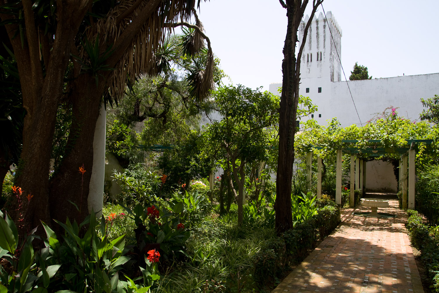 Paseando por el jardín del Museo de la Kasbah - Tánger, Marruecos