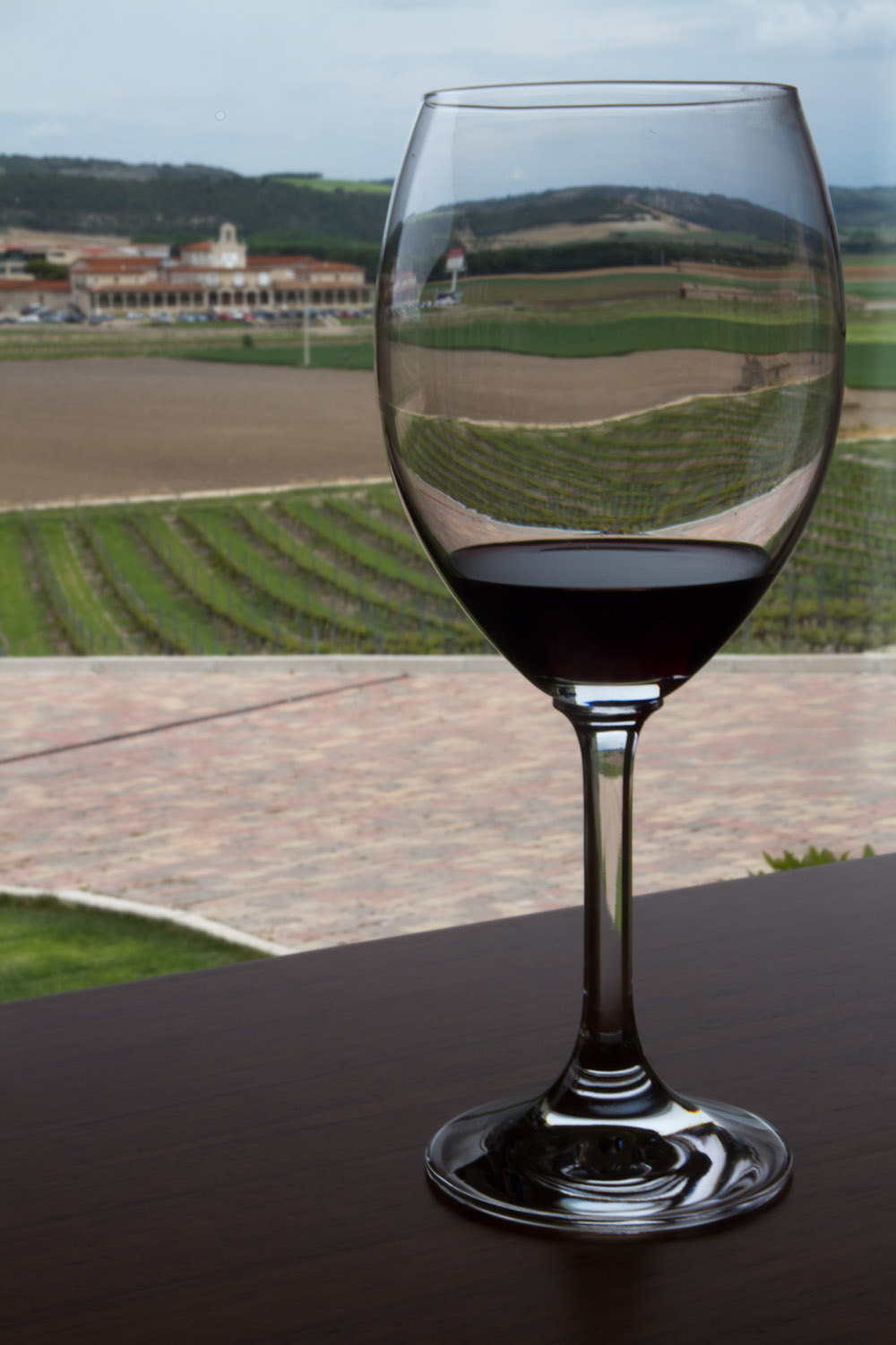 Viñedos y vino de la bodega Viña Mayor, en Ribera del Duero, España