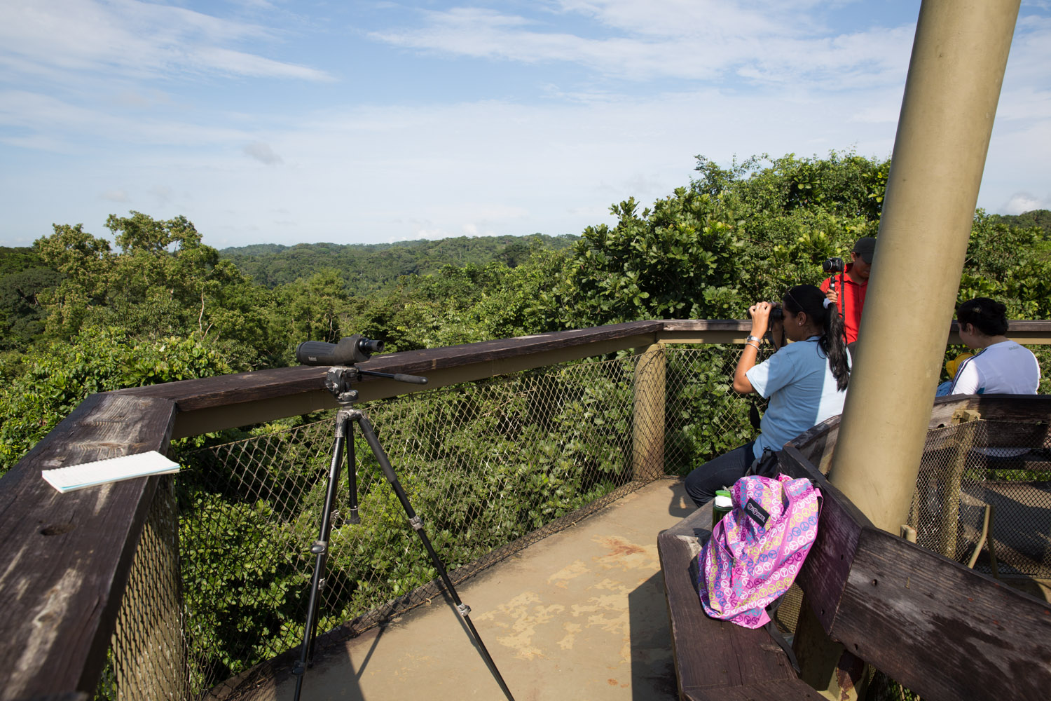 Torre de observación del Panama Rainforest Discovery Center