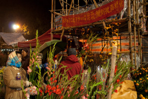 Mercado de flores en la víspera del año nuevo chino, Hong Kong