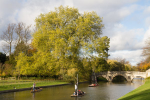 "Punting" en el río Cam, Cambridge, Inglaterra